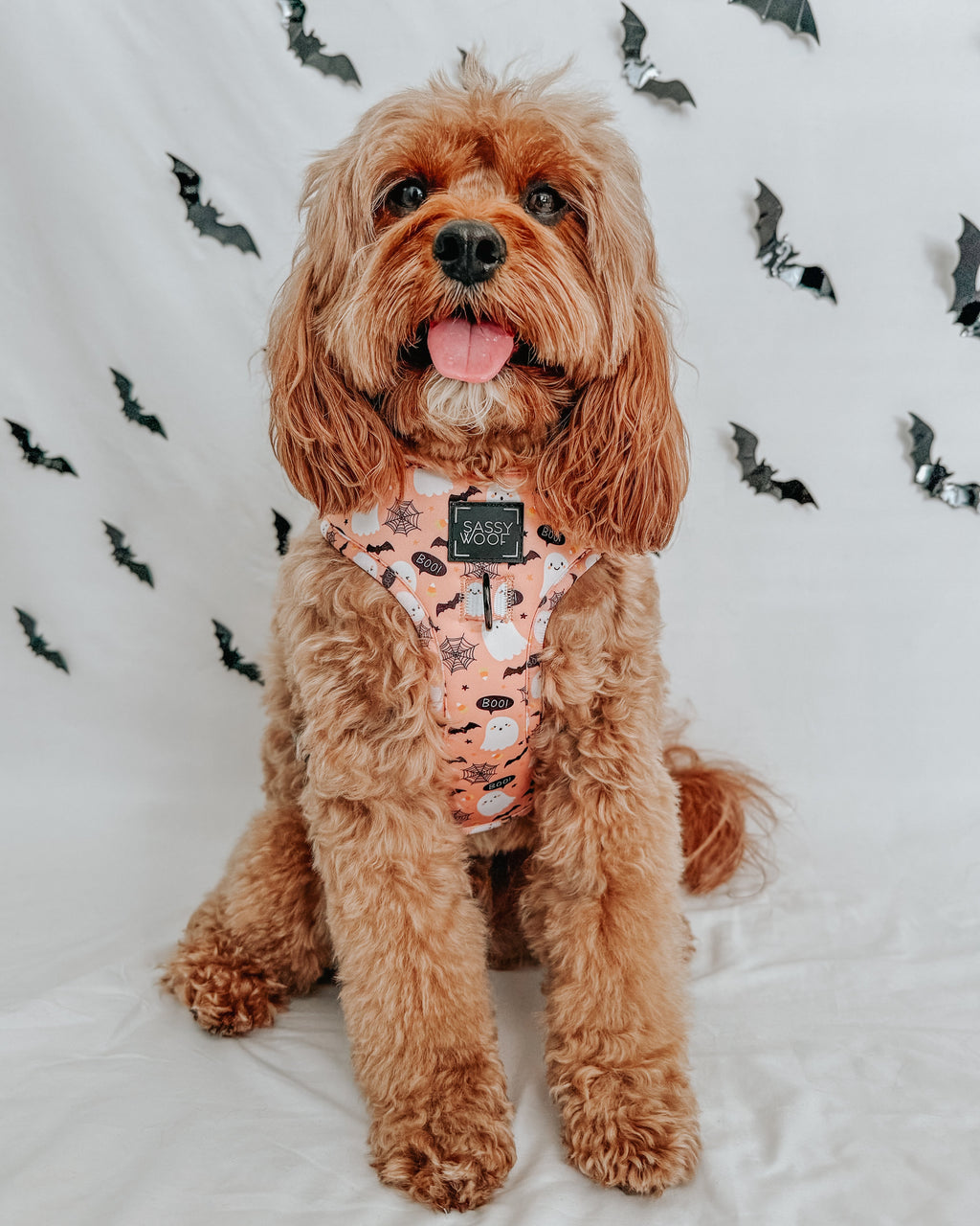 Dog Adjustable Harness - Squad Ghouls