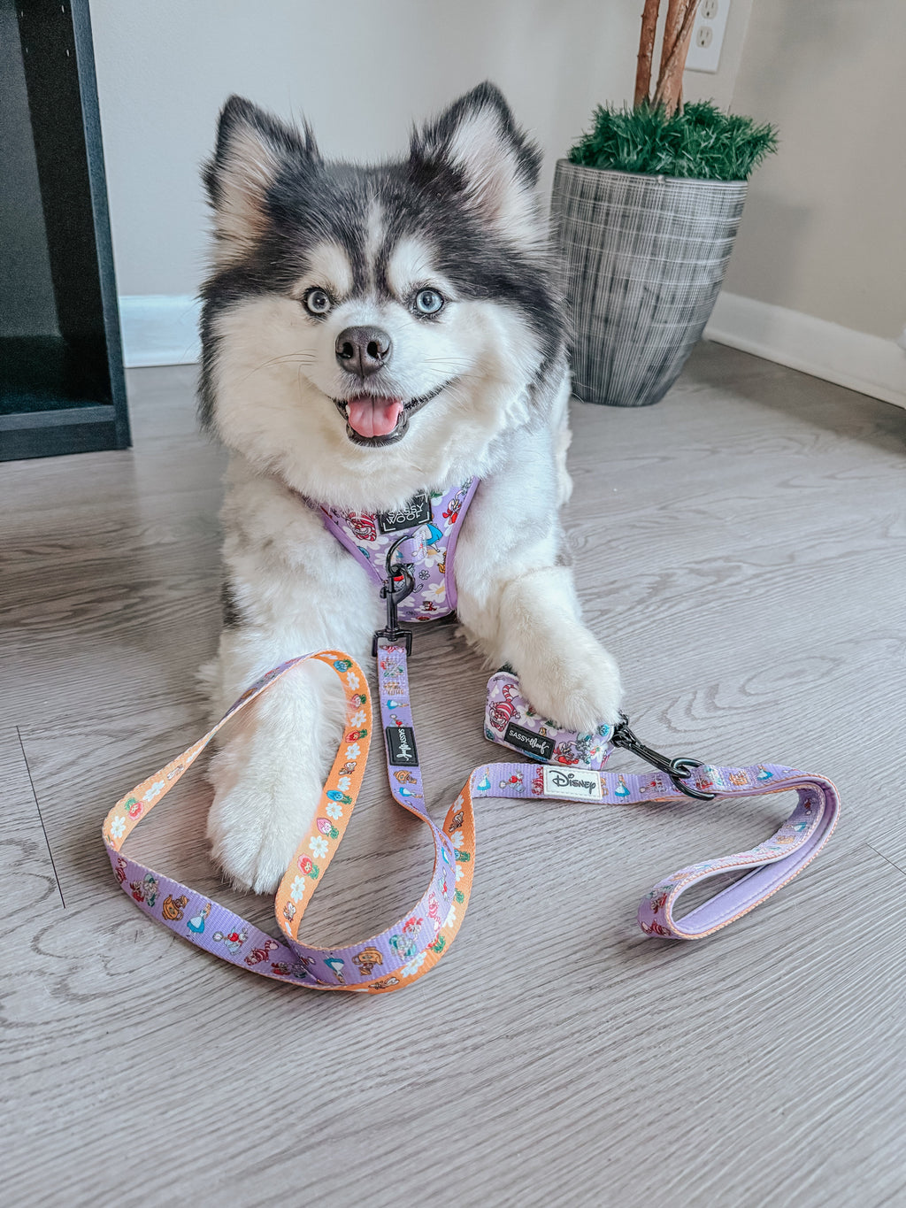 Dog Leash - Alice in Wonderland (Purple)