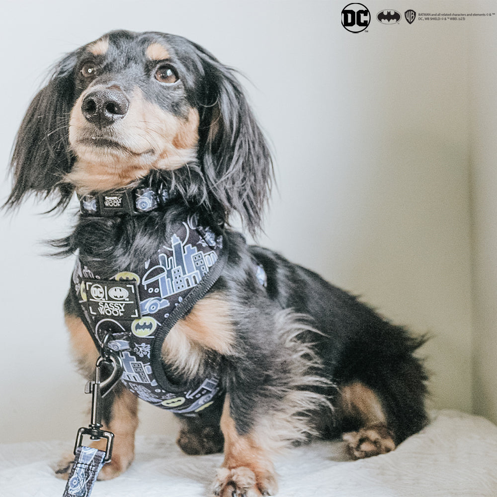 Dog Collar - Batman™