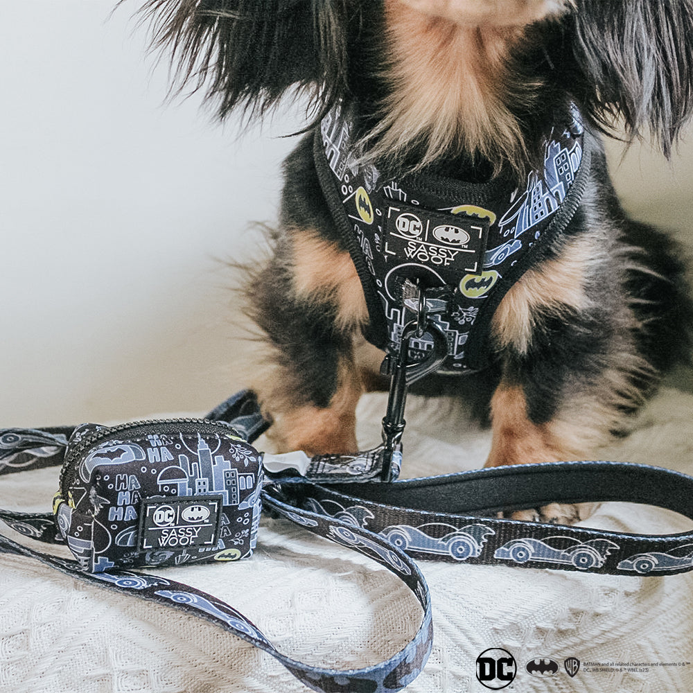Dog Leash - Batman™