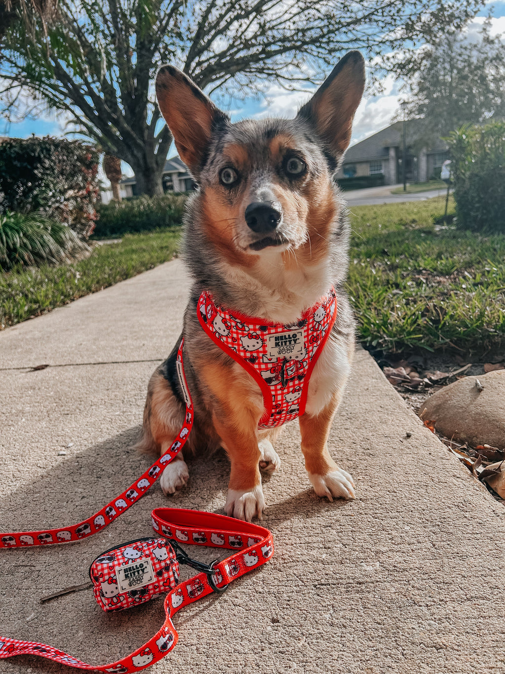 Dog Collar - Hello Kitty® Red Classic
