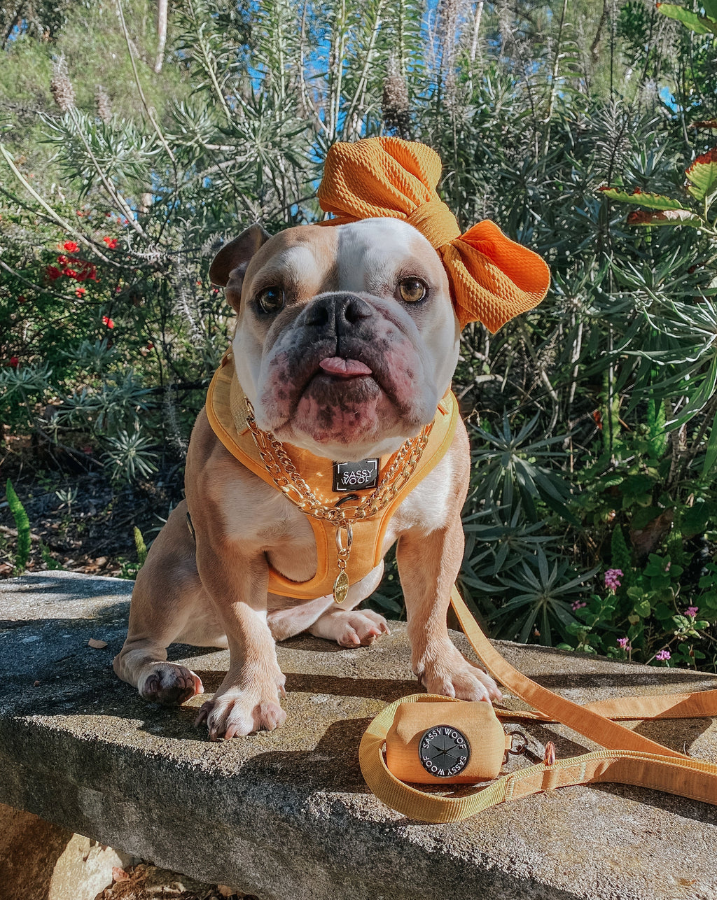 Dog Adjustable Harness - Sunflower Fields