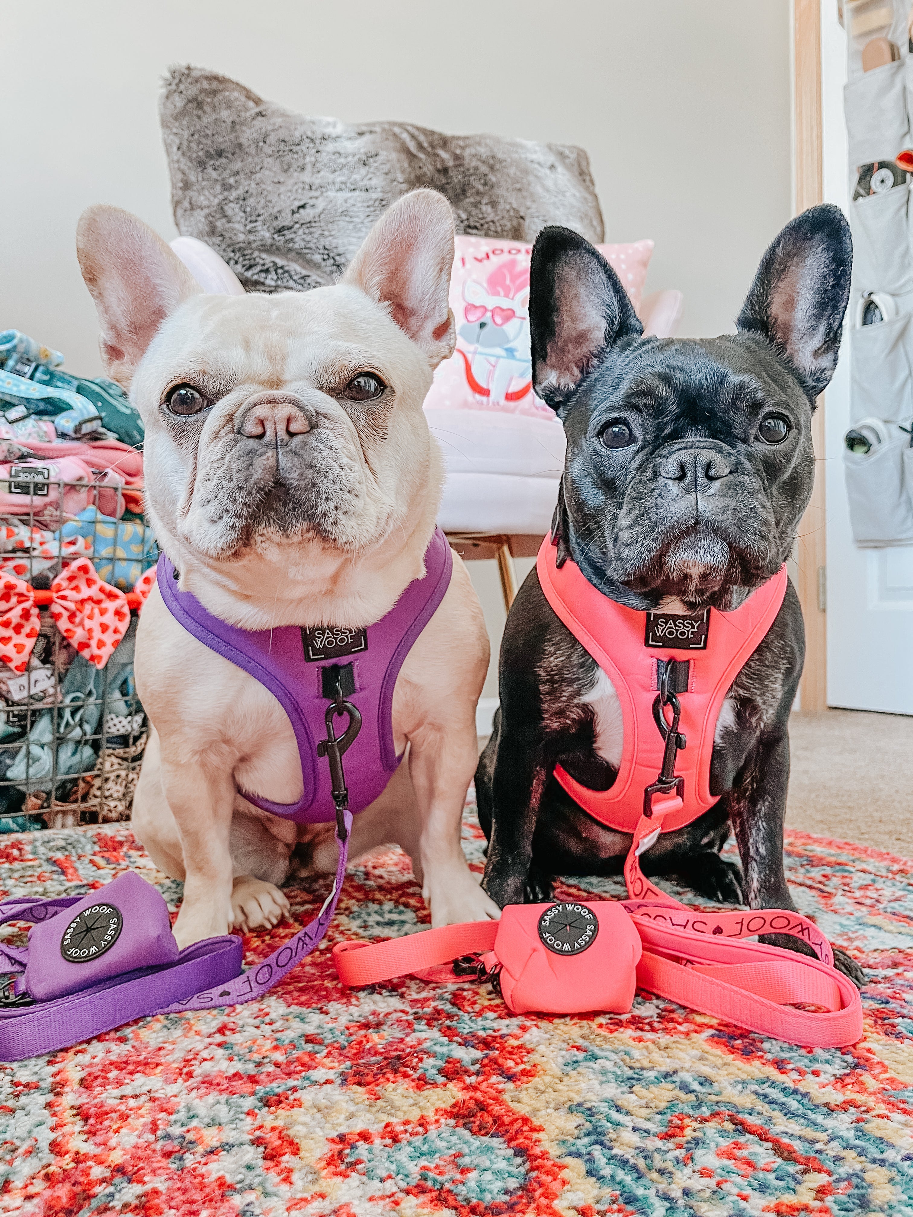 Dog Adjustable Harness - Neon Purple