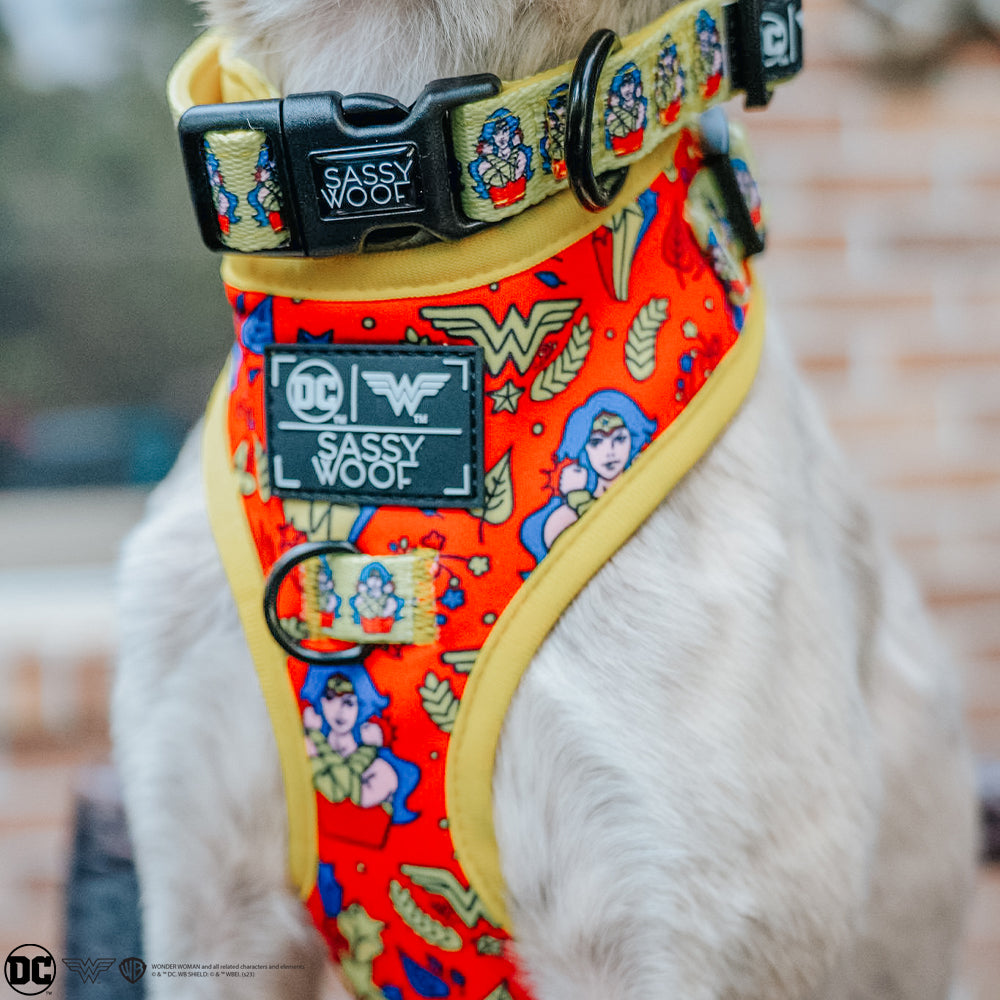 Dog Adjustable Harness - Wonder Woman™
