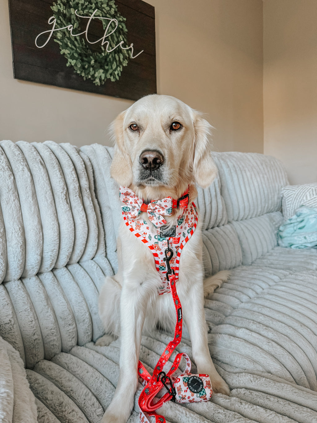 Dog Adjustable Harness - Hot Cocoa Club