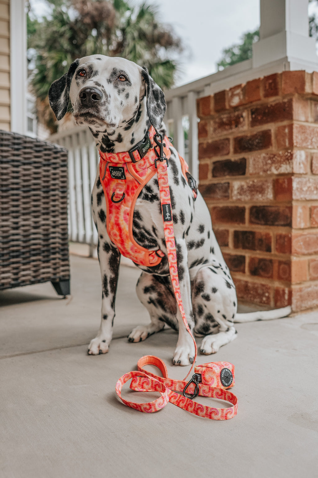 Dog Step-in Harness - Summer Sorbet