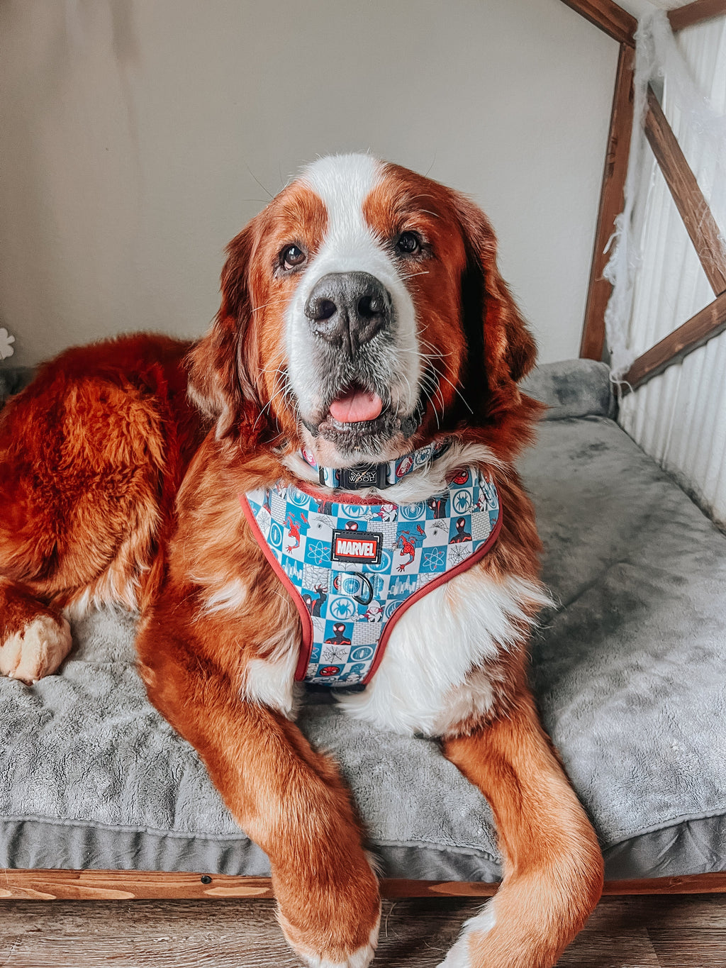 Dog Collar - Marvel’s Spider-Man