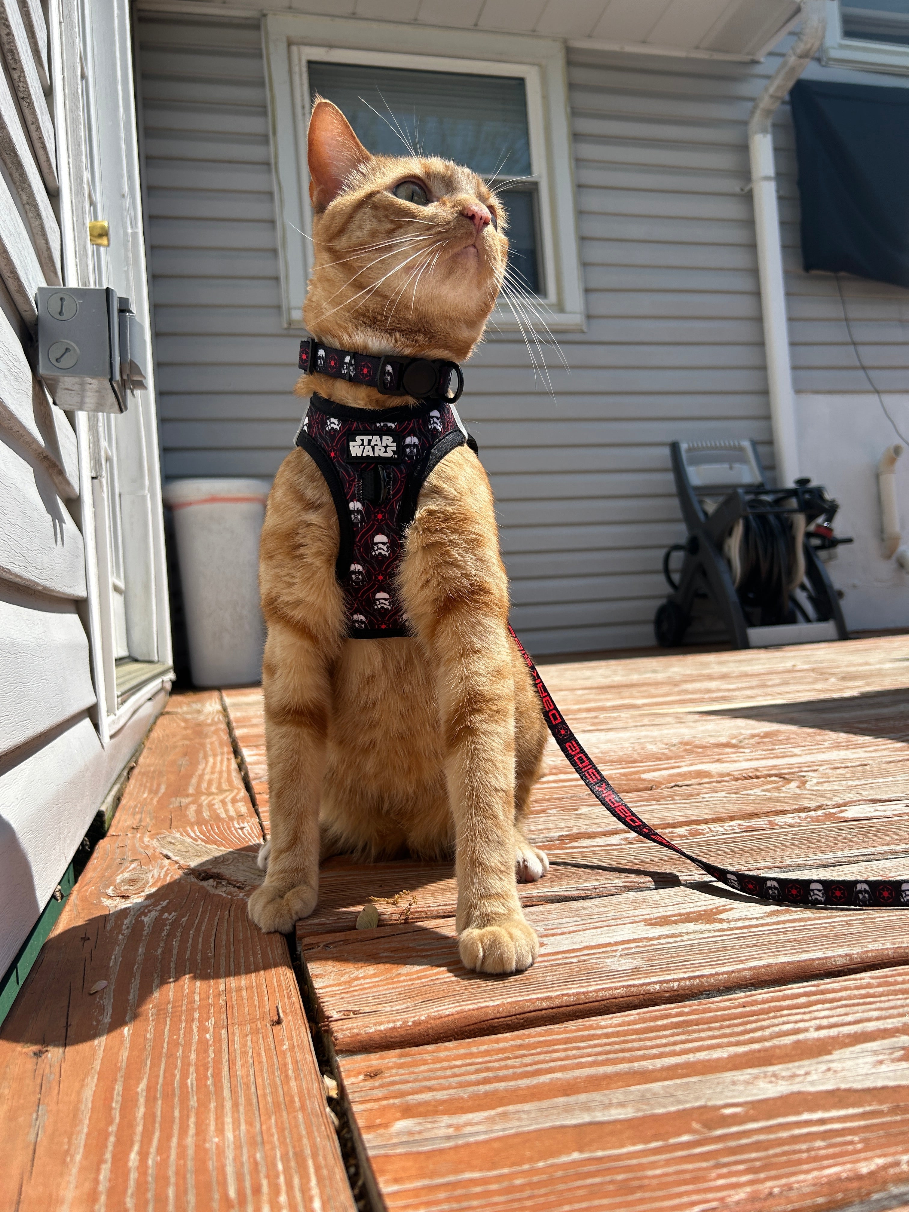 Cat Collar - STAR WARS™ The Dark Side