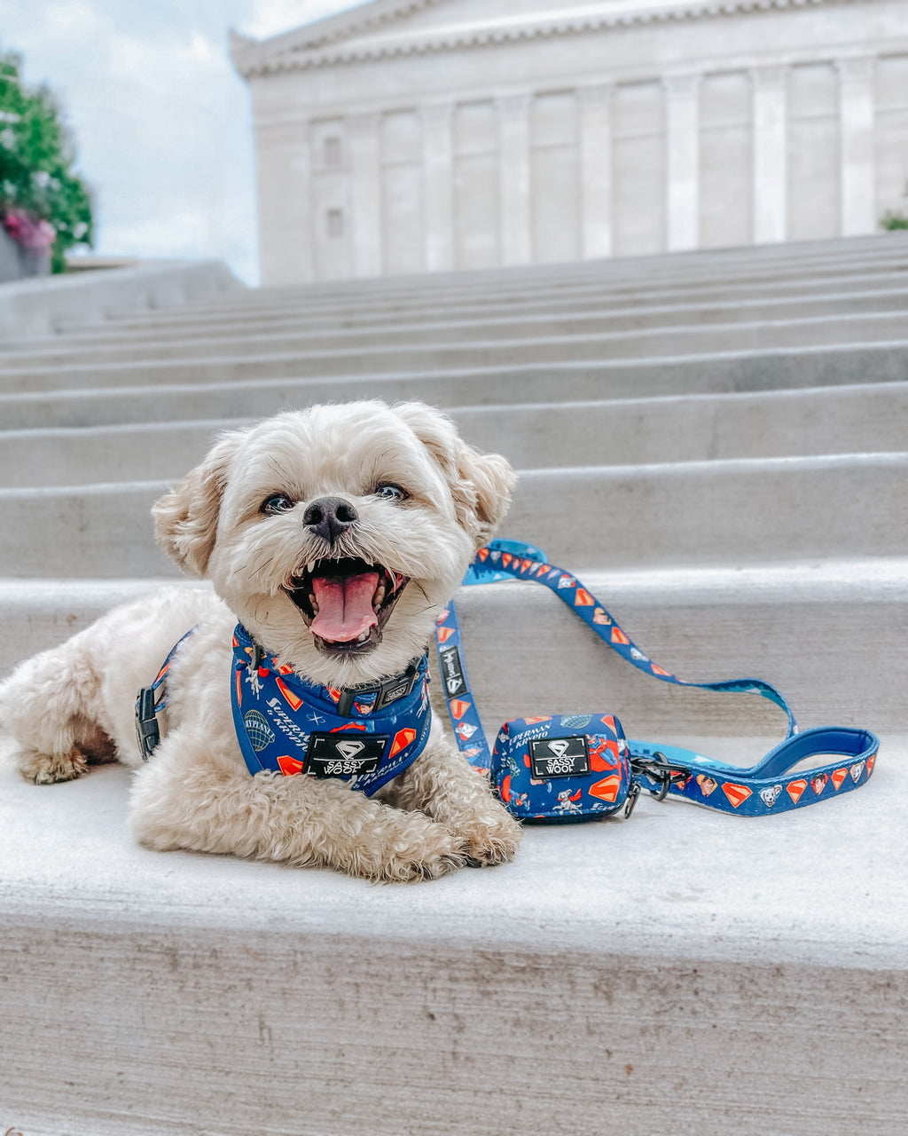 Dog Collar - Superman™ & Krypto™