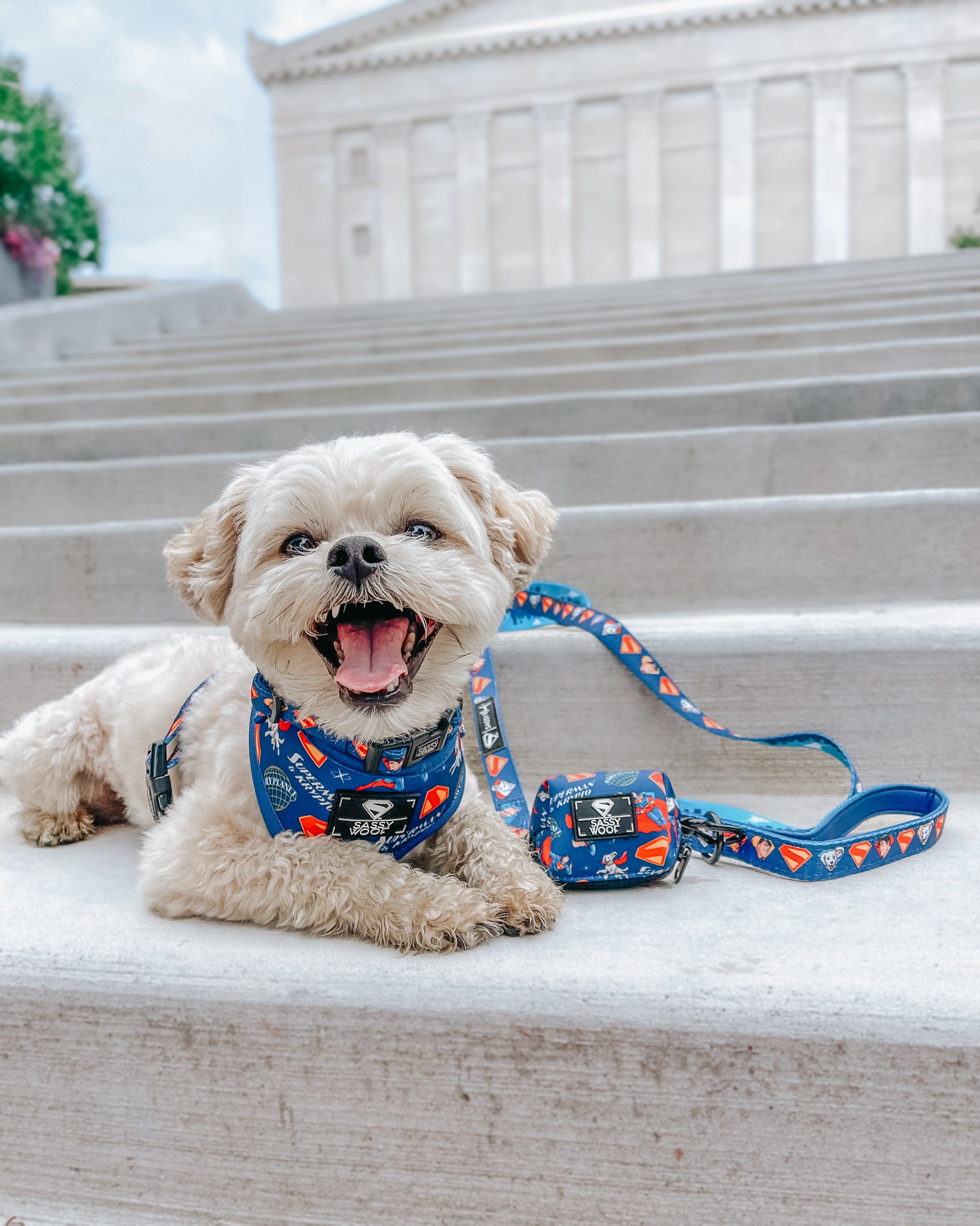 Dog Collar - Superman™ & Krypto™