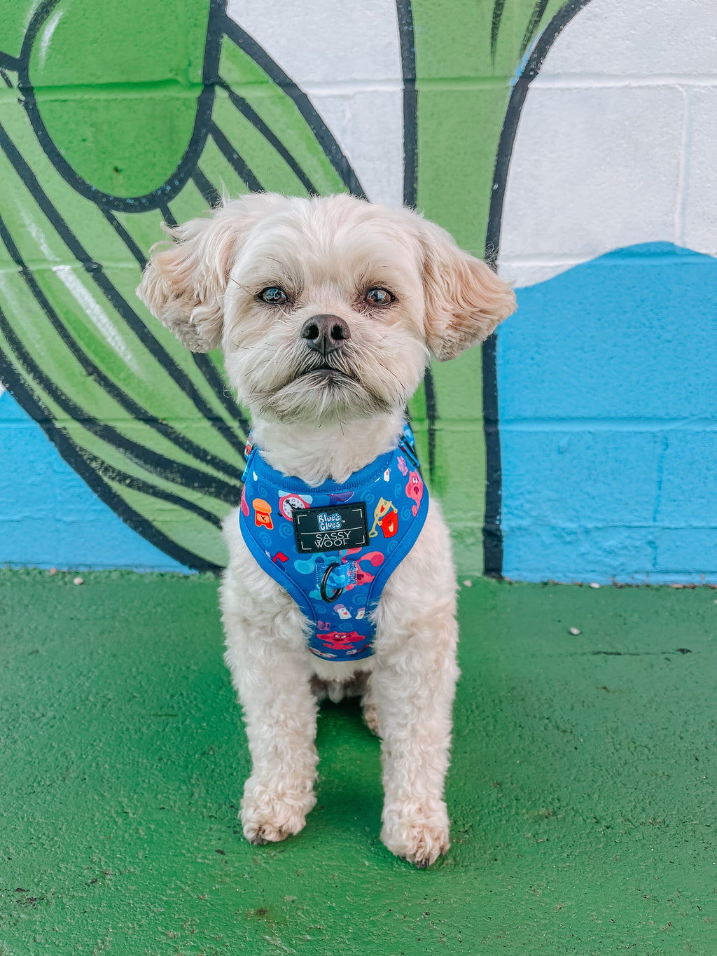 Dog Adjustable Harness - Blue's Clues™