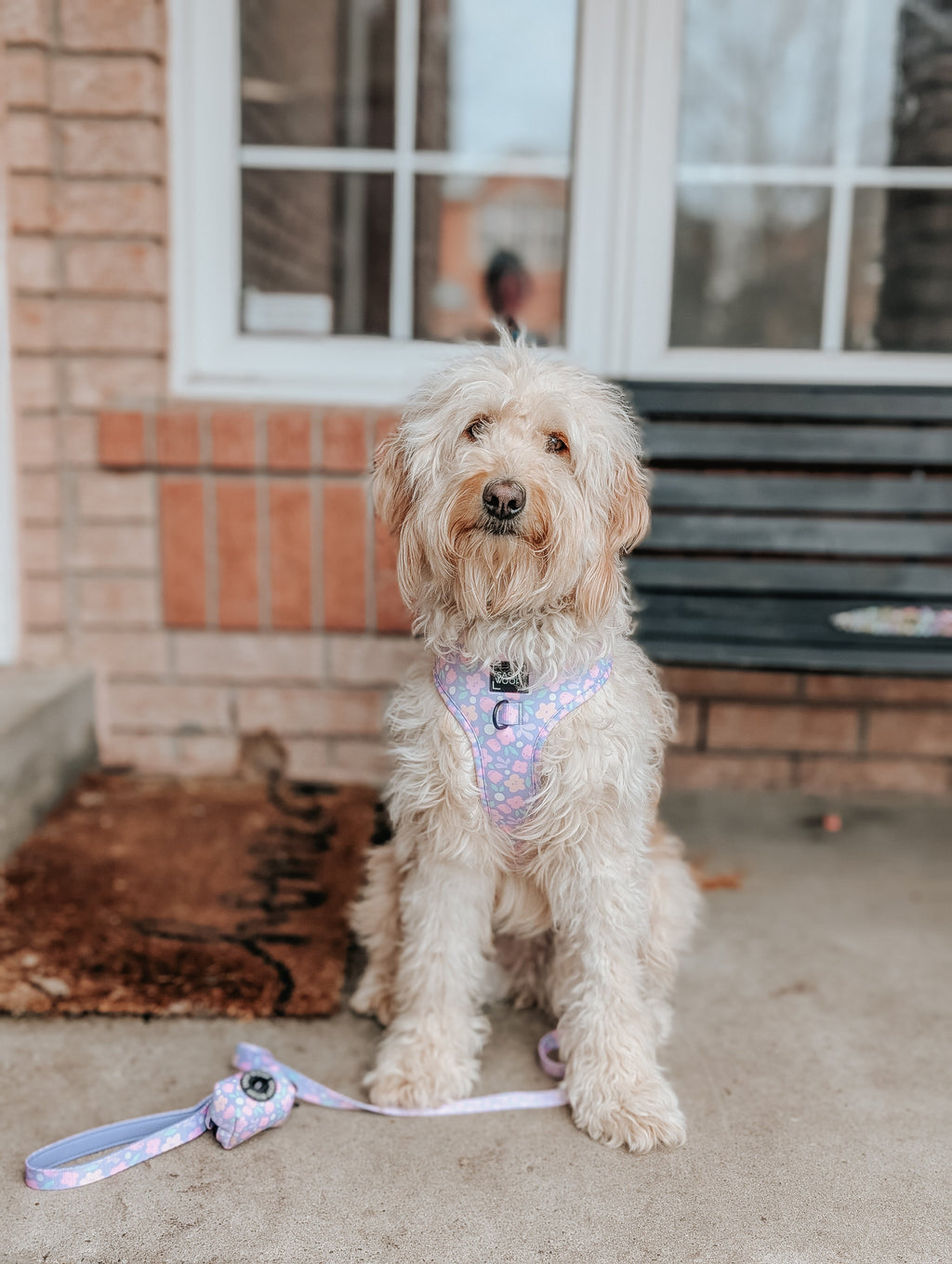 Dog Adjustable Harness - Fleur de Sass