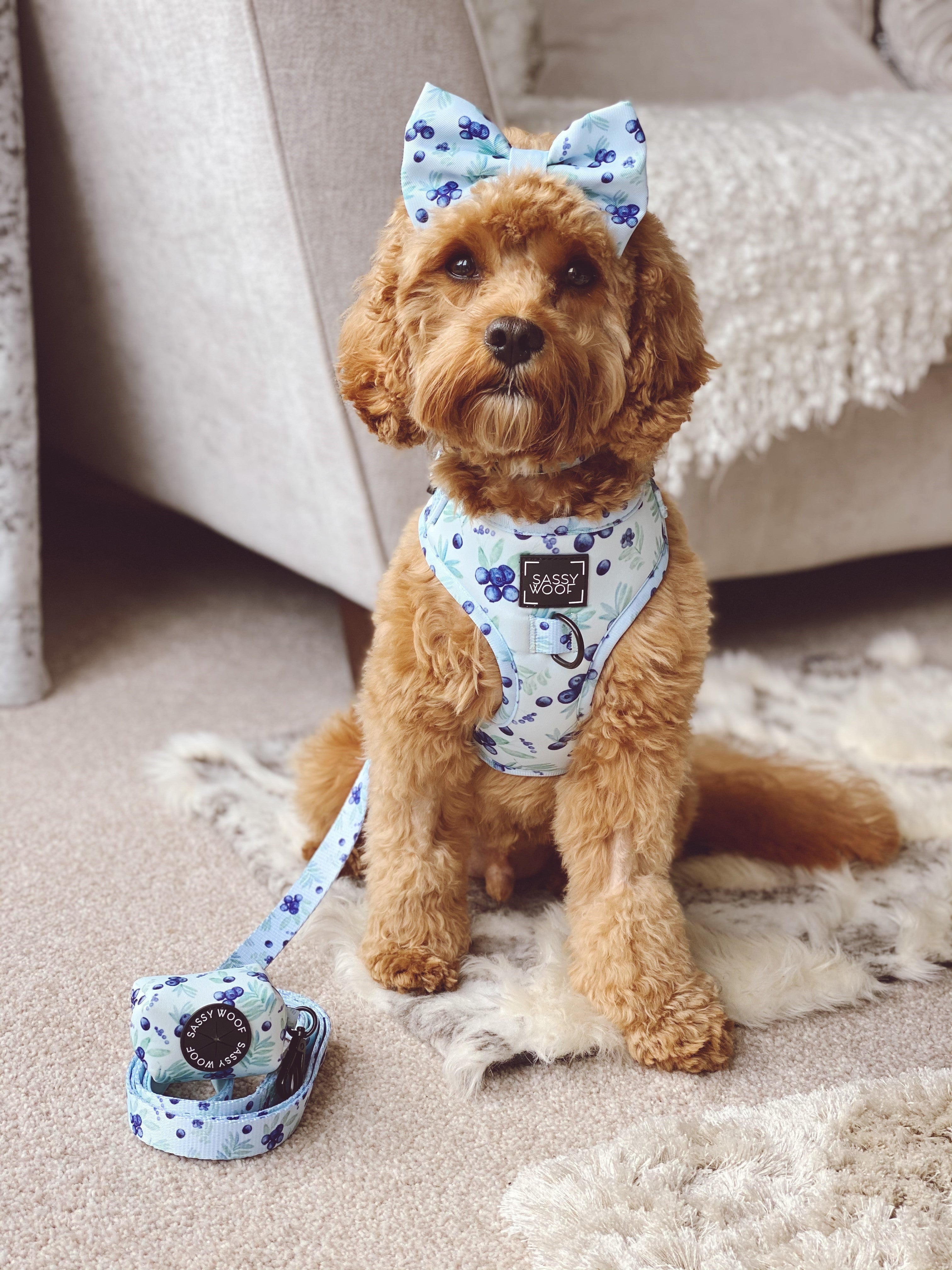 Dog Leash - Berry Sassy