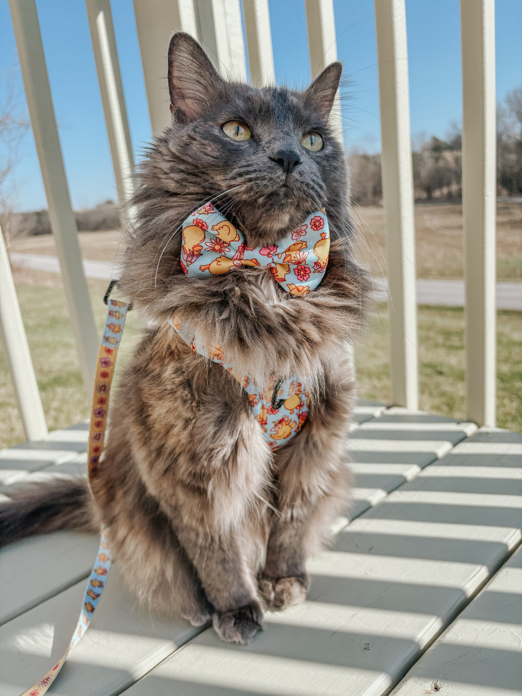 Cat Leash - Good Duck, Babe!