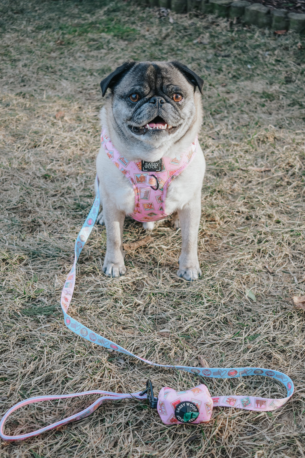 Dog Leash - Out of Office