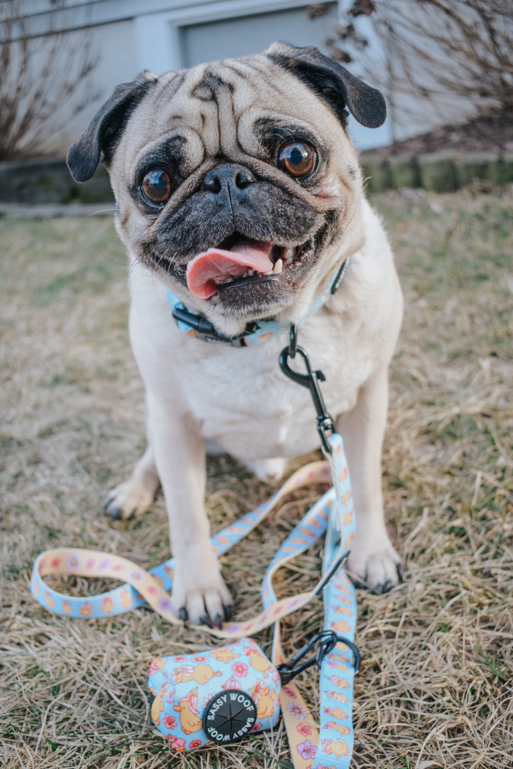 Dog Leash - Good Duck, Babe!