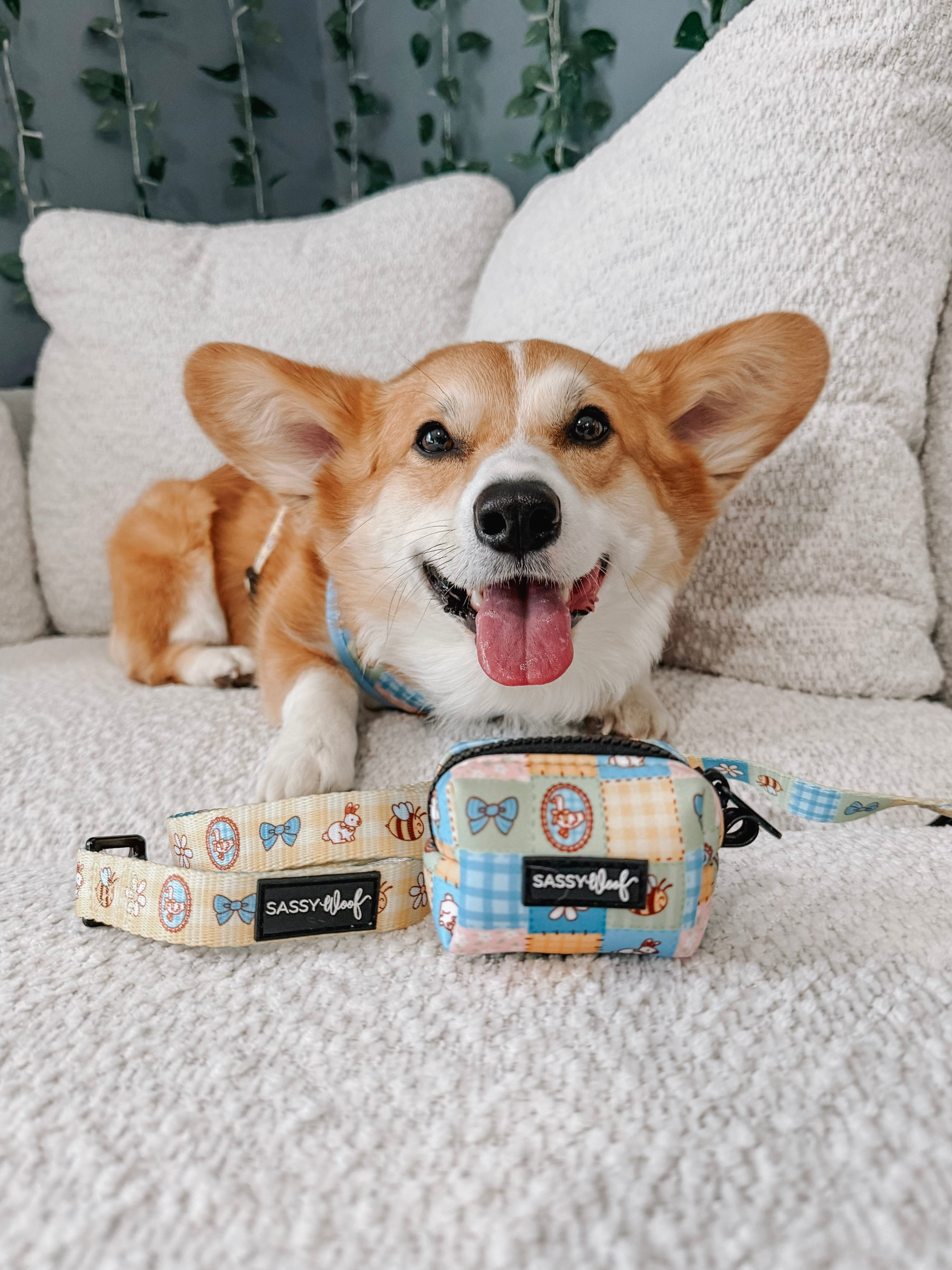 Dog Leash - Patch Perfect