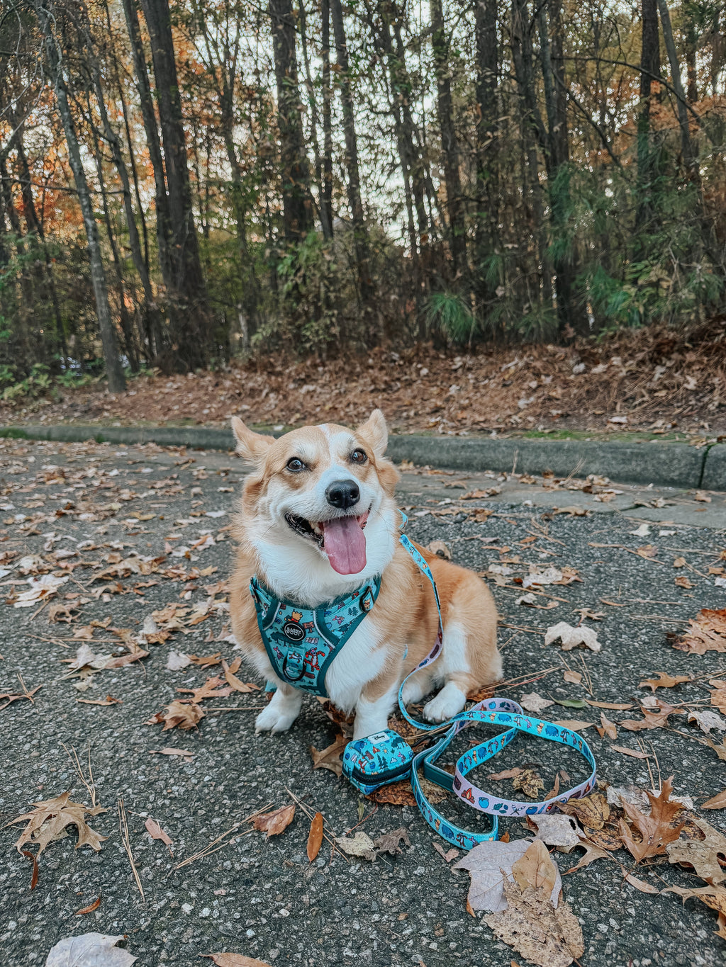 Dog Leash - Disney's Winnie the Pooh