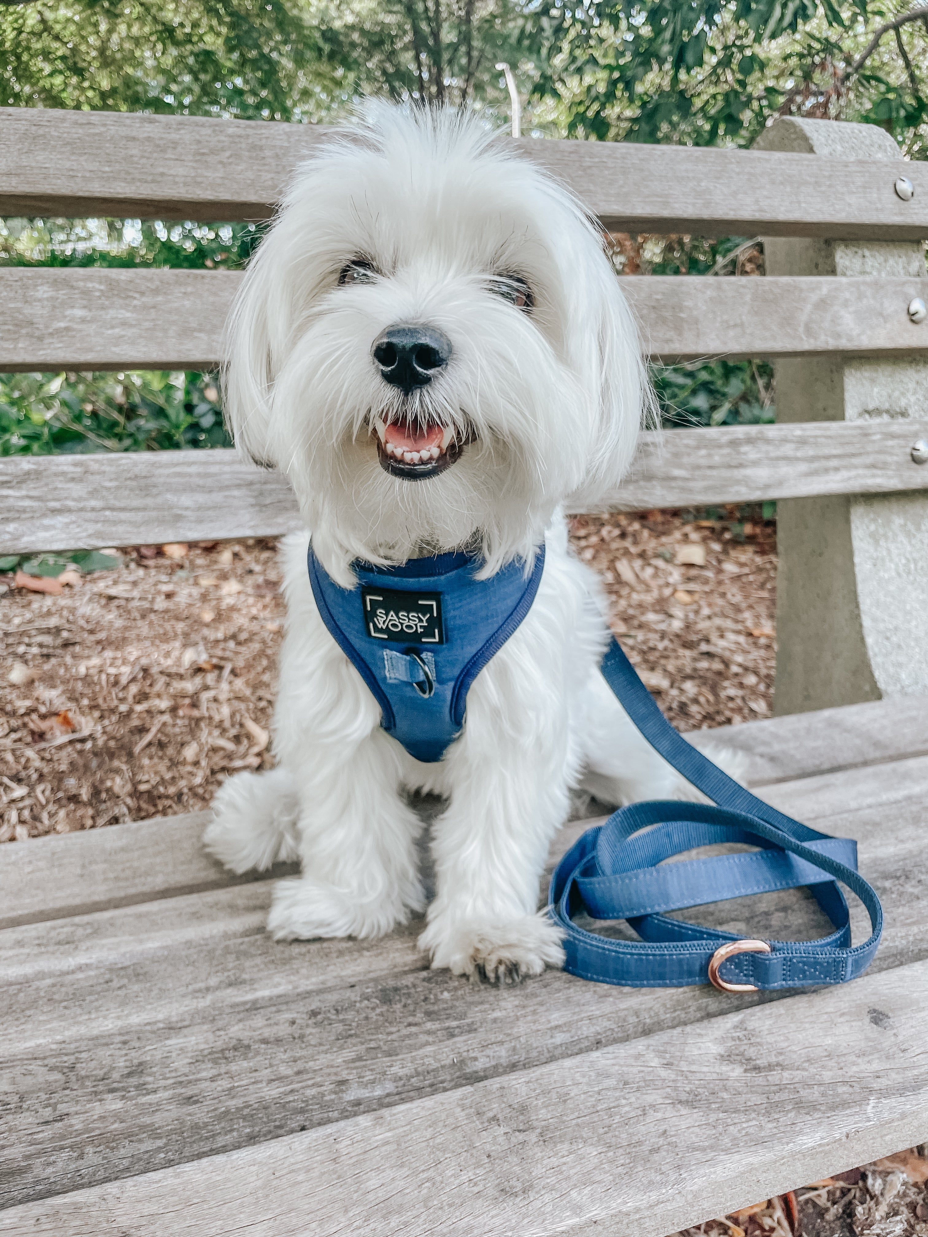 Dog Adjustable Harness - Twilight