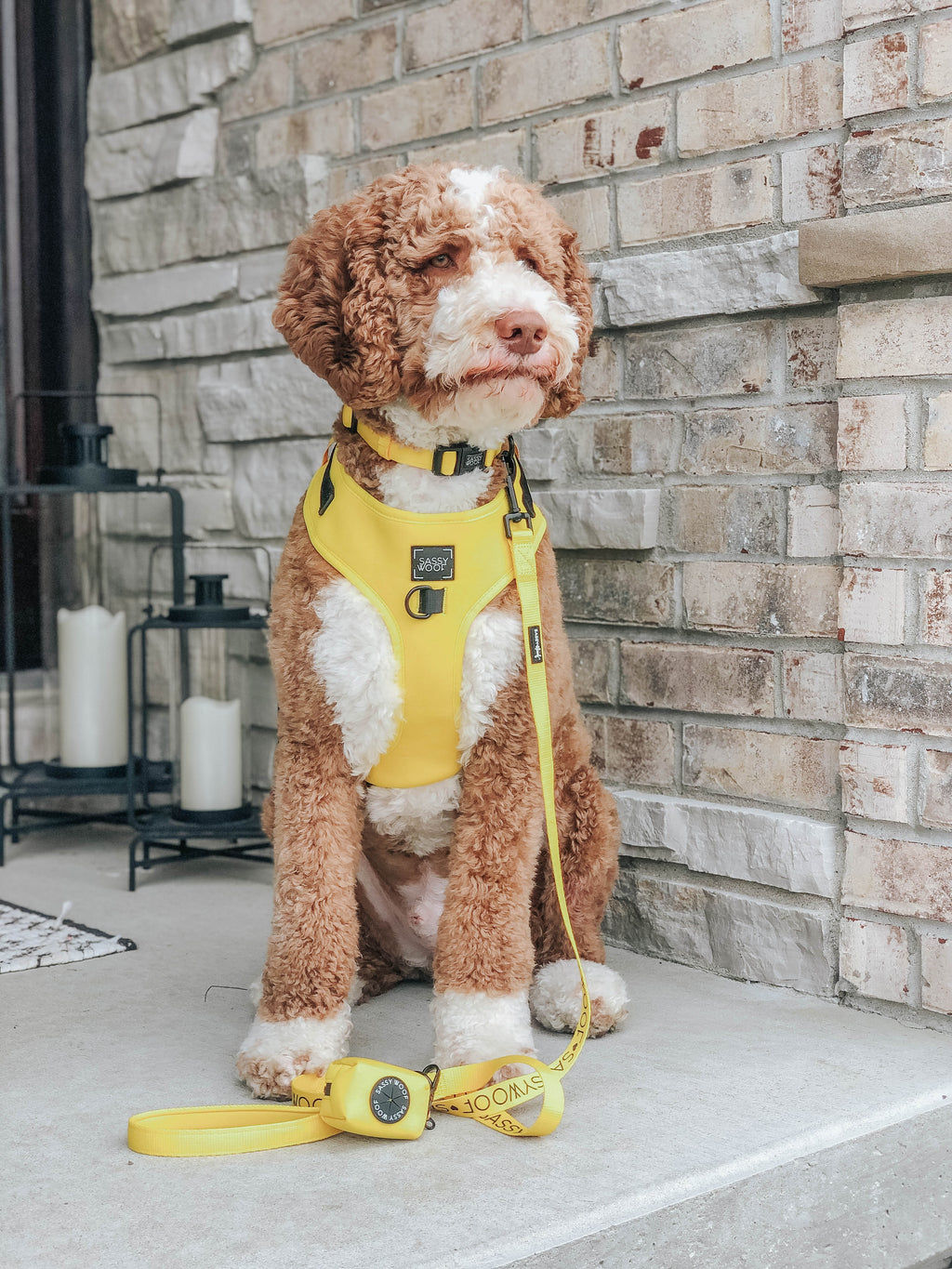 Dog Adjustable Harness - Neon Yellow