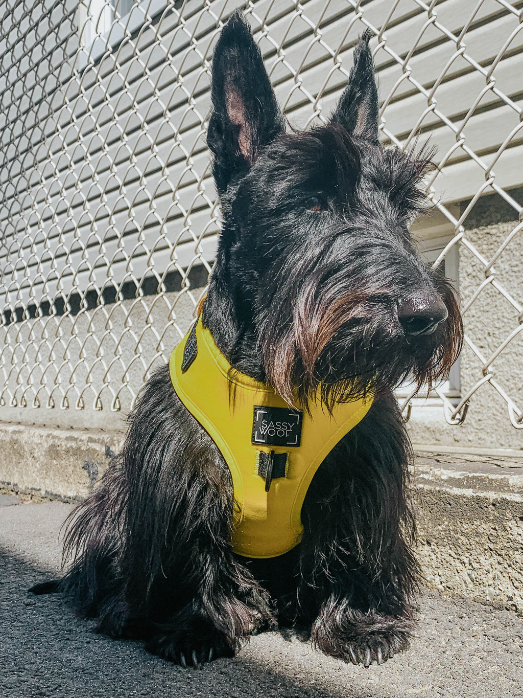Dog Adjustable Harness - Neon Yellow