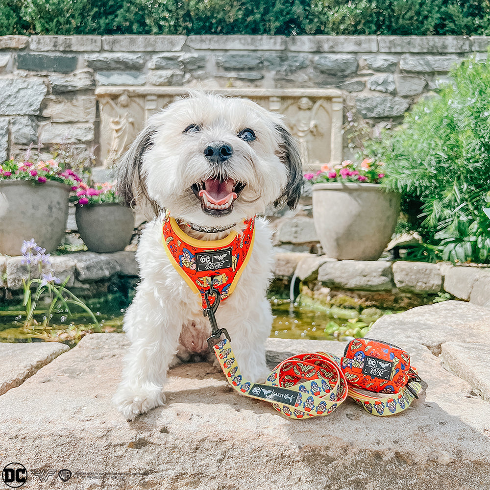 Dog Adjustable Harness - Wonder Woman™