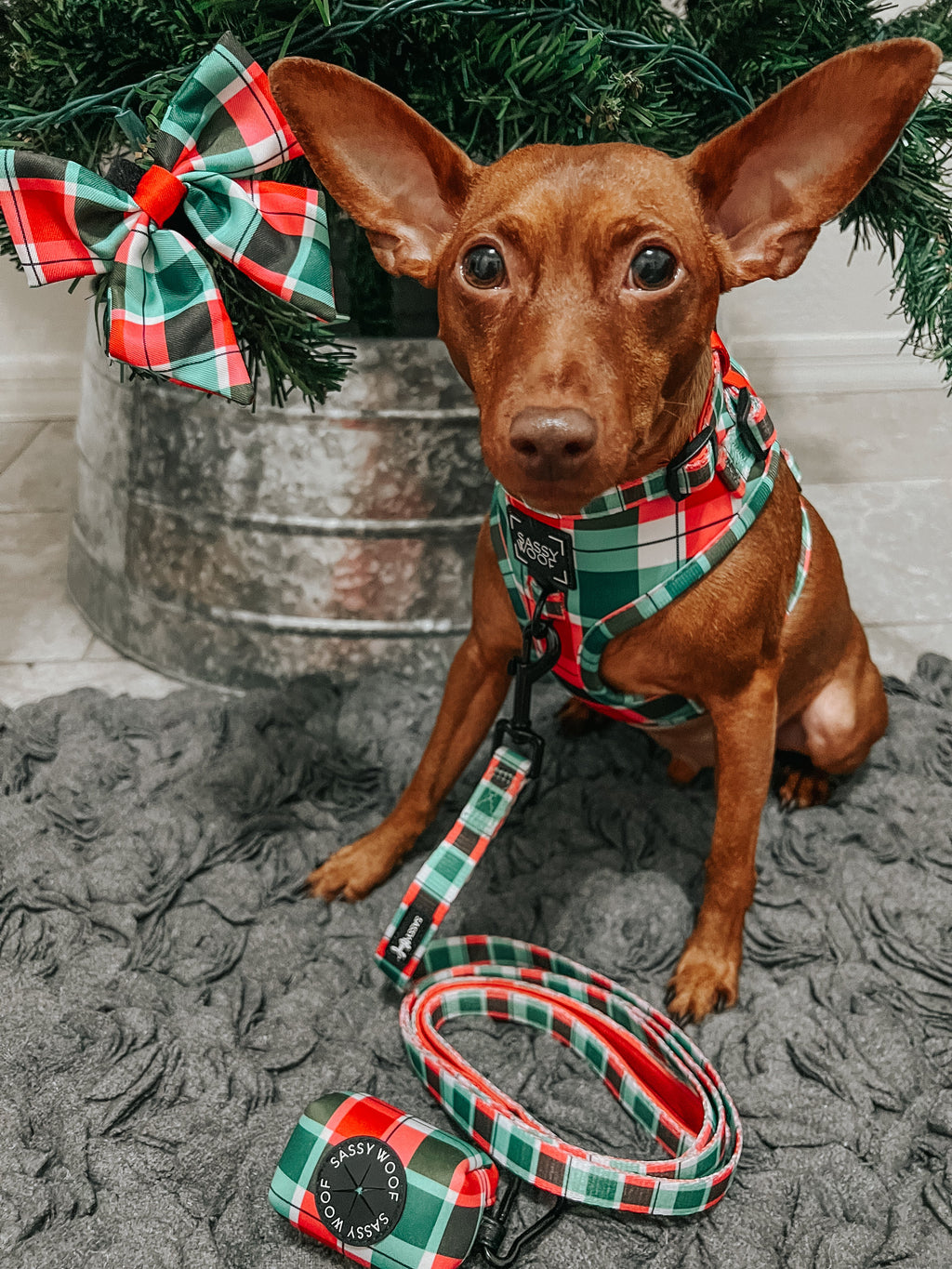 Dog Adjustable Harness - Jingle Barks