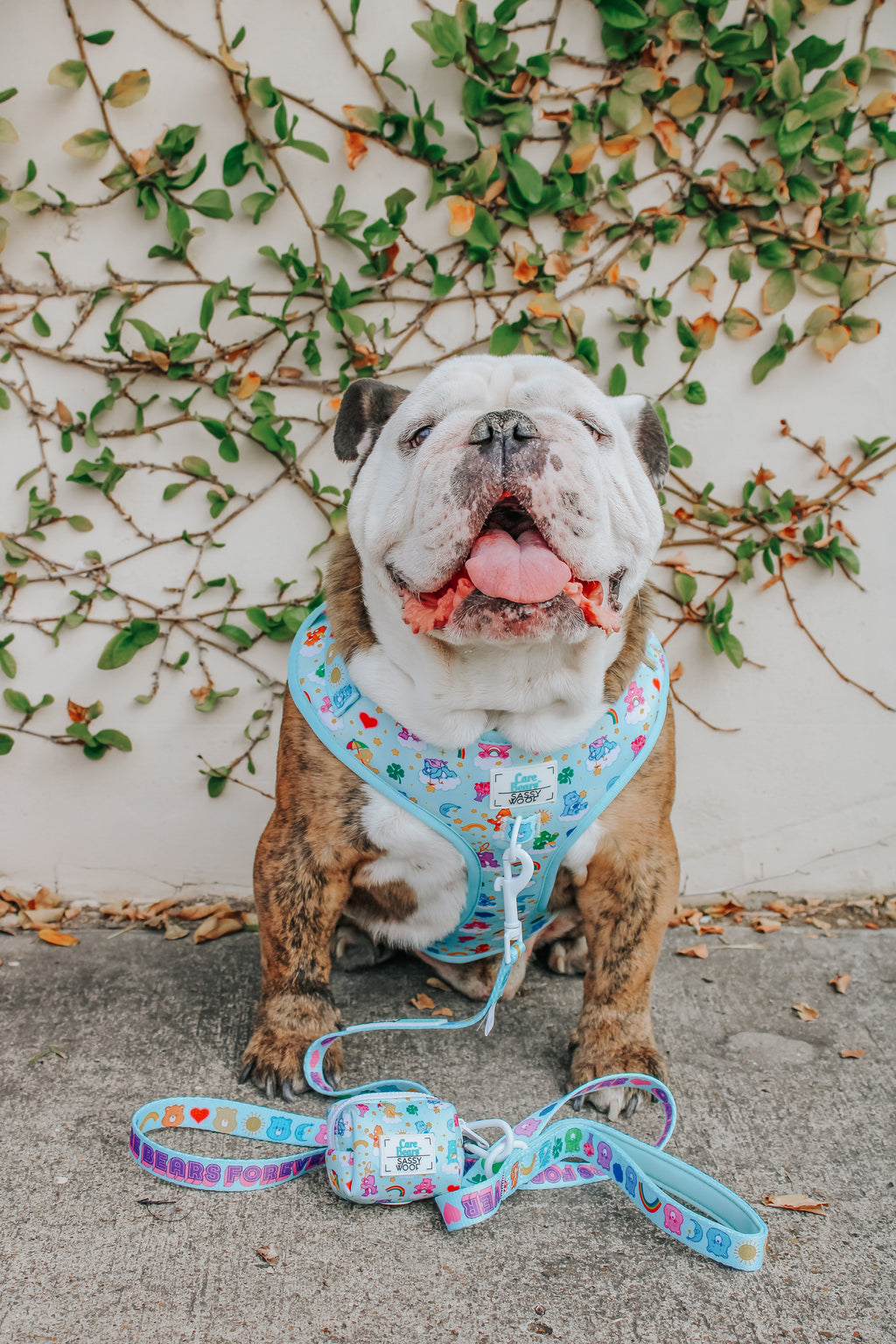 Dog Adjustable Harness - Care Bears™ Care-a-Lot