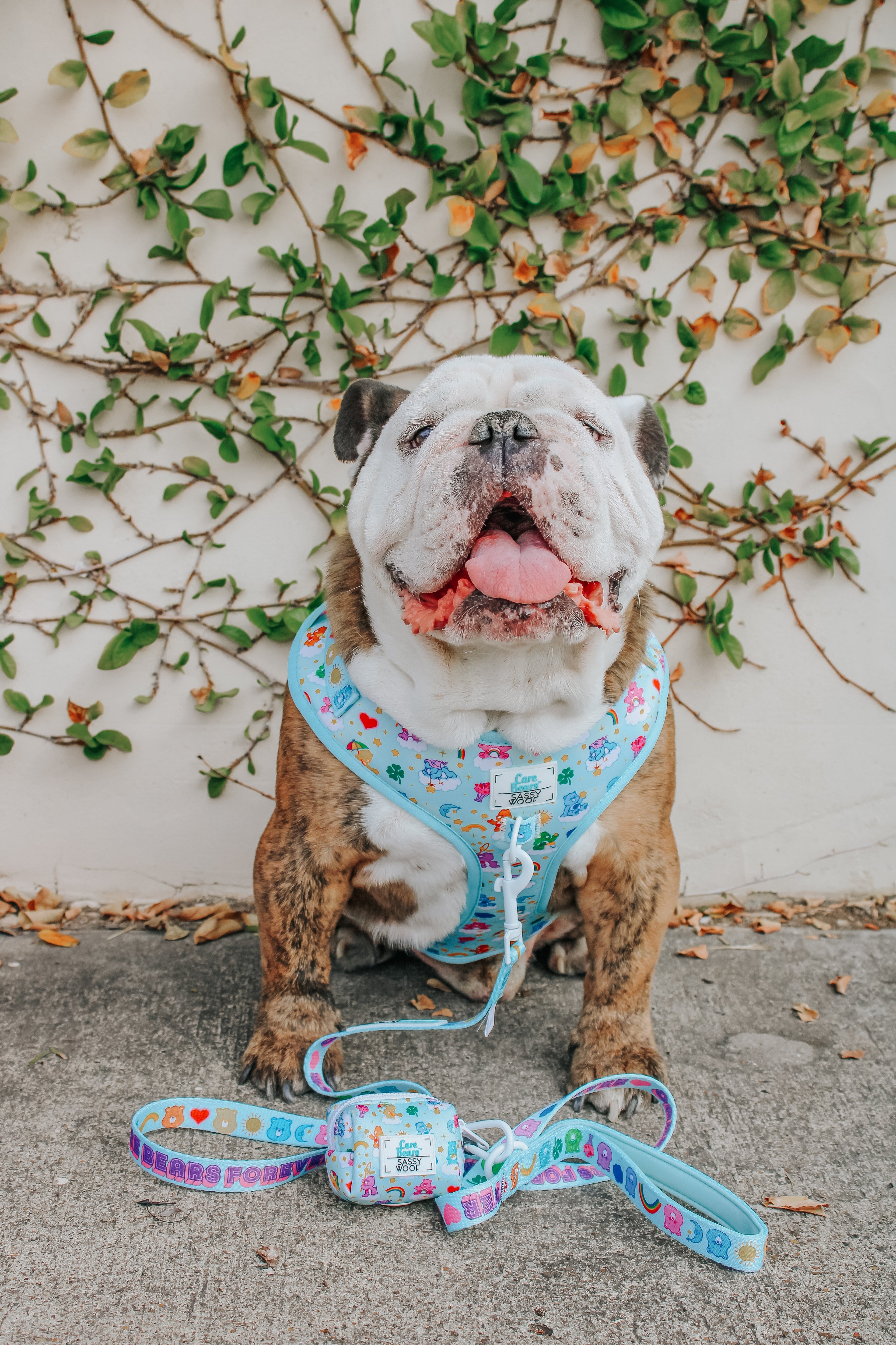 Dog Adjustable Harness - Care Bears™ Care-a-Lot